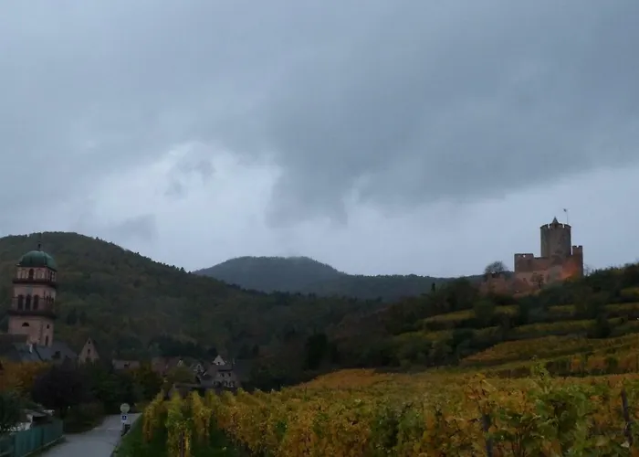 Hotel Marcia Donatti - A L'Ombre Des Coteaux Sao Paulo Kaysersberg-Vignoble